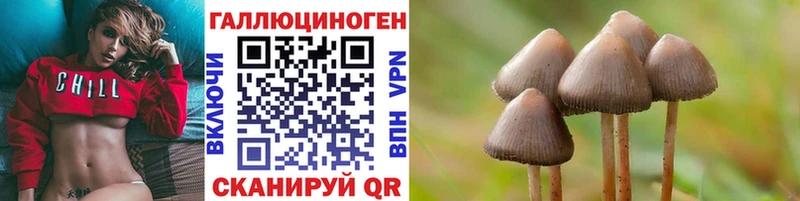 Псилоцибиновые грибы Psilocybe  Купить где  Артём 